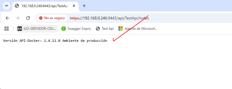 Validación TestApi en Navegador