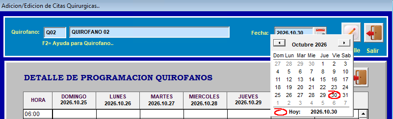 Selección del día a programar en el calendario
