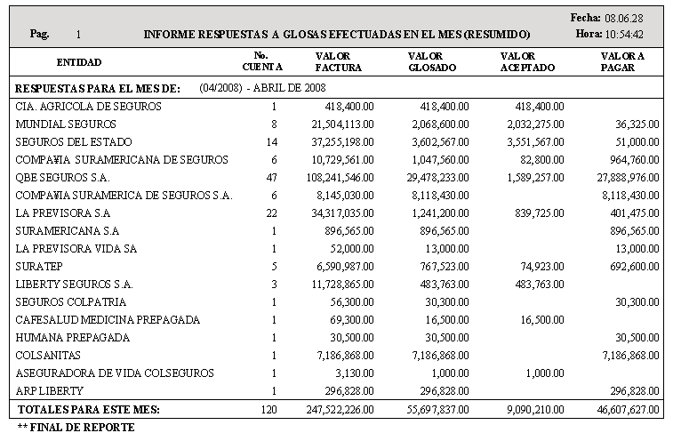 Vista previa del Reporte Resumido de Glosas Mensuales Consolidadas