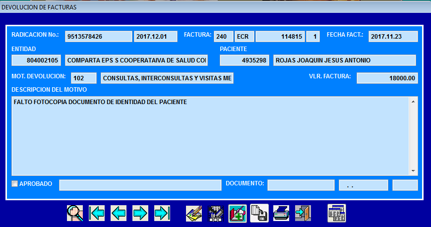 Registro de la observación detallada y guardado de la devolución