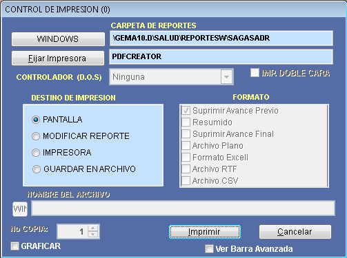 Ventana Control de Impresión para definir el destino del informe de gastos