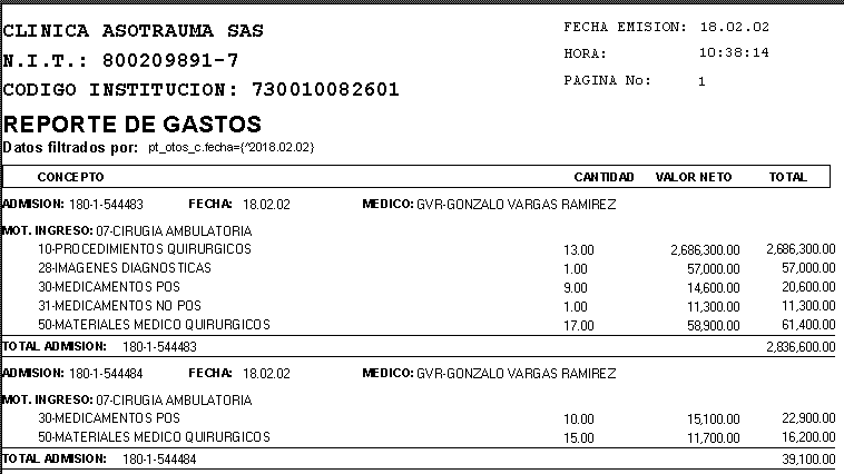 Vista del Informe de Gastos Resumido por Admisión y Concepto de Facturación